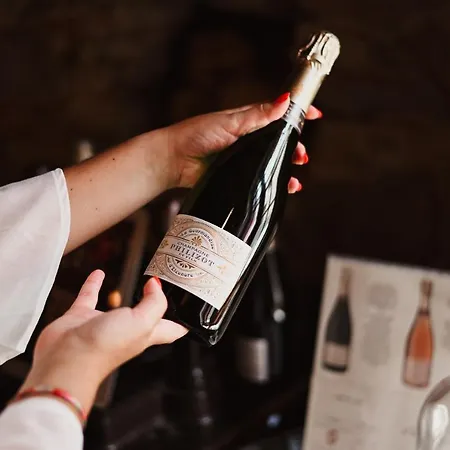 فندق مبيت وإفطار Demeure De La Carmine, Sejour Bien-etre D'exception, Piscine, Hammam, Champagne ماريبواه