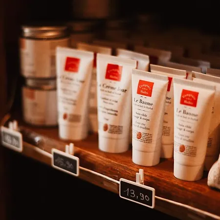 Demeure De La Carmine, Sejour Bien-etre D'exception, Piscine, Hammam, Champagne Bed and Breakfast Mirepoix (Ariege)