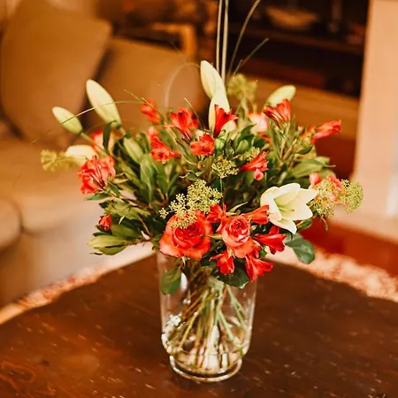 Bed and Breakfast Demeure De La Carmine, Sejour Bien-etre D'exception, Piscine, Hammam, Champagne 4*